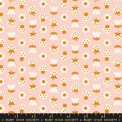 Picture Book Strawbitties in Vintage Pink RS-3074-14
