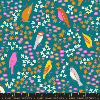 Bird is the Word Spark Bird in Storytime RS-3077-13