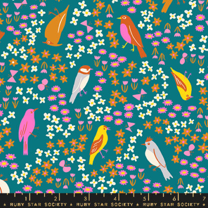 Bird is the Word Spark Bird in Storytime RS-3077-13