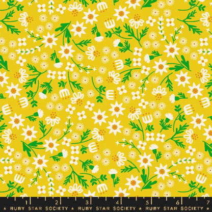 Favorite Flowers Inflorescence in Golden Hour RS-5146-11