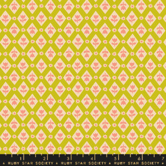 Favorite Flowers Lattice in Pistachio RS-5148-13