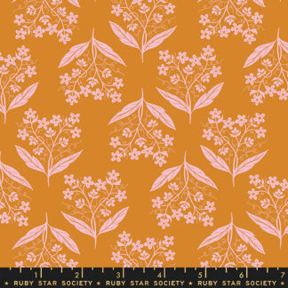 Verbena  in Earth RS-6034-11