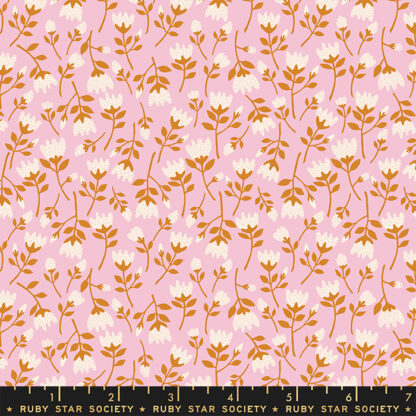 Verbena Roses in Peony RS-6037-13