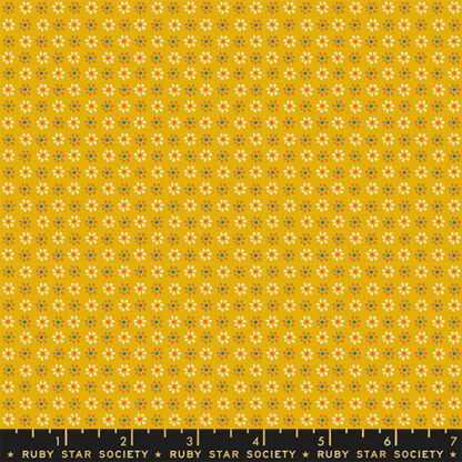 Sugar Maple Daisy in Goldenrod RS-4094-13
