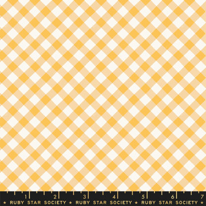 Food Group Painted Gingham in Butternut RS-5044-11