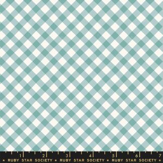 Food Group Painted Gingham in Polar RS-5044-15