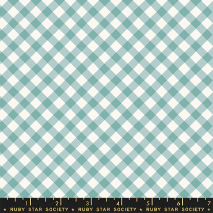 Food Group Painted Gingham in Polar RS-5044-15