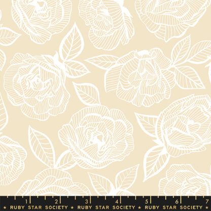 First Light Floral Lace in Sandbox RS-5049-11