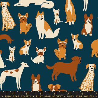 Dog Park Dog Medley in Teal Navy RS-2094-13
