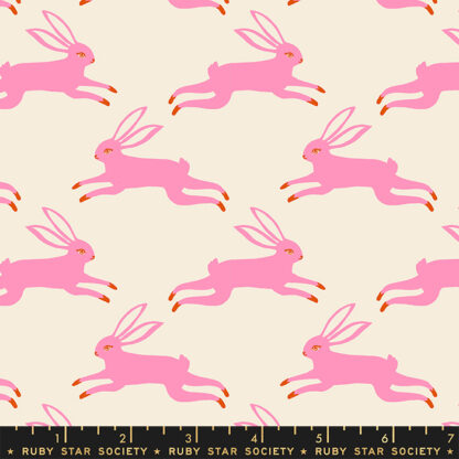Backyard Bunny Run in Flamingo RS-2087-11