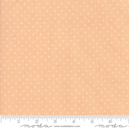 Add It up  in Peach RS-4005-31