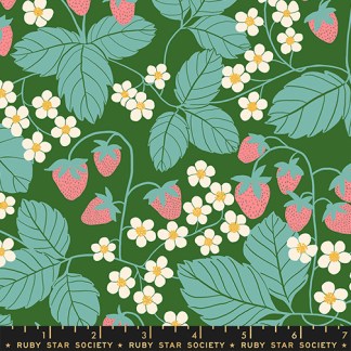 Reimagined Landscapes Strawberry Field in Endpaper Green RS-6054-15