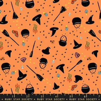 Freaky Familiars Witchy Woman in Pumpkin RS-5195-12